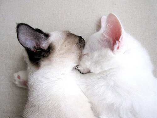 【世界冠军盘点】历届夺冠的经典瞬间回顾,4×100历届冠军