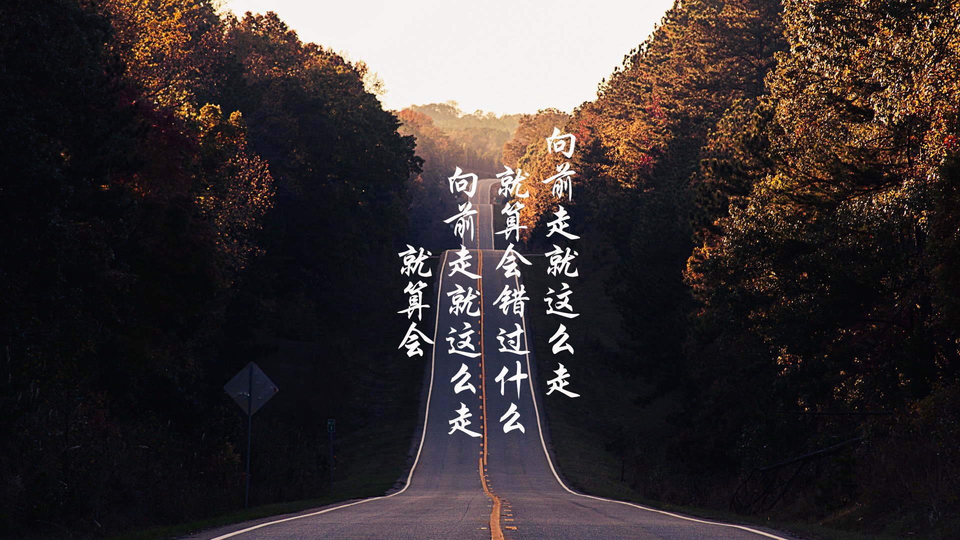 单车越野赛：山野中的极速飞驰，单车山地越野车视频