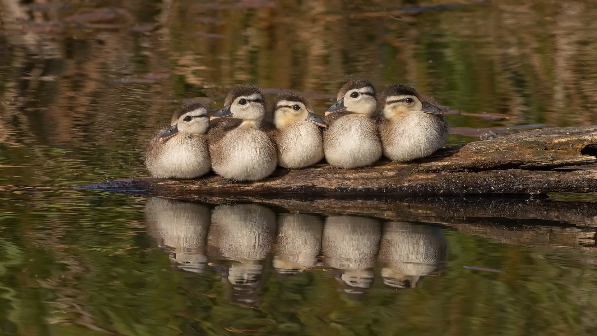 英超球队引领战术创新,打破传统束缚,英超球队广义实力定位