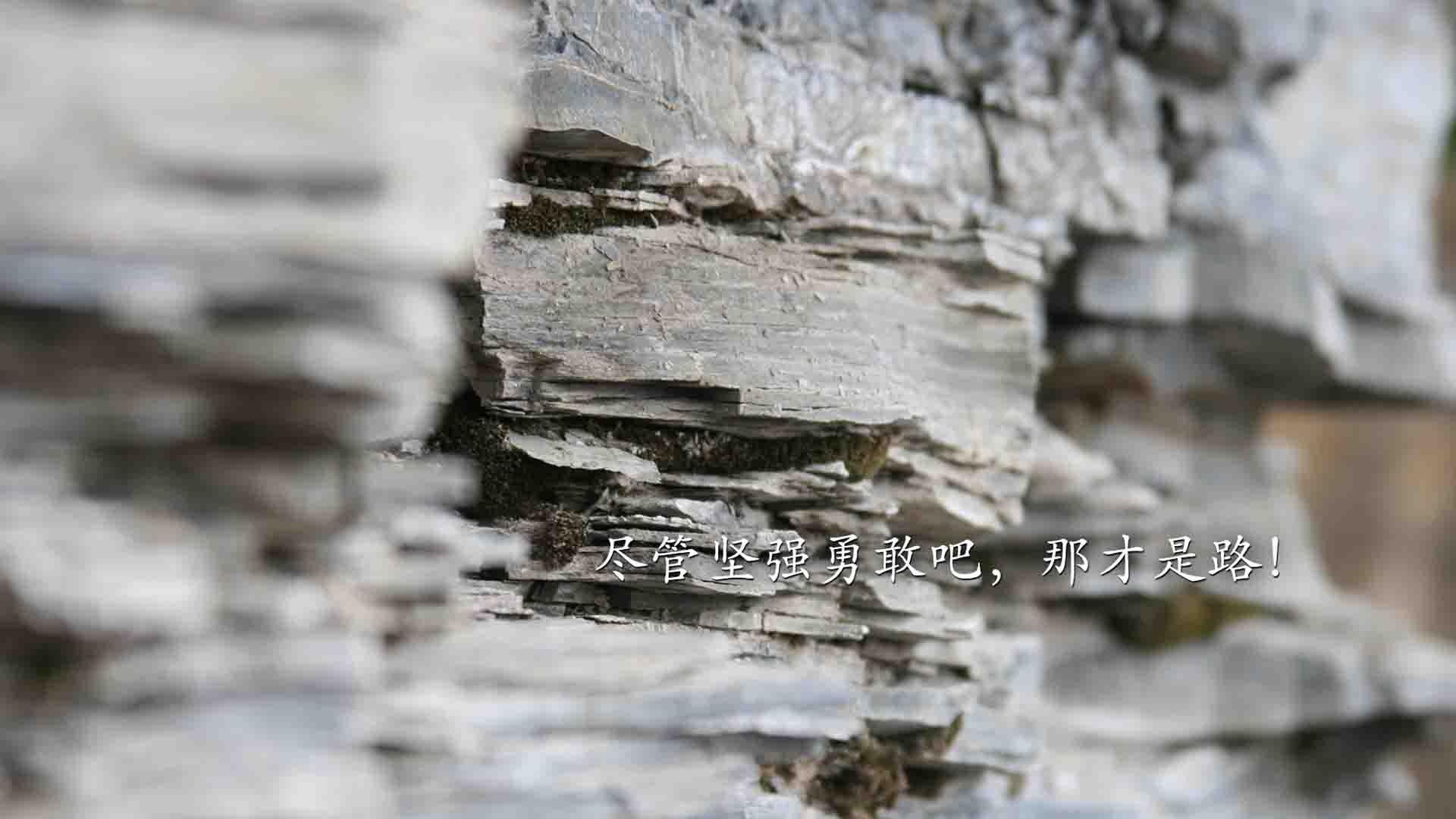 劲敌对碰!澳大利亚女足亚洲杯赛场上演精彩对决,女足亚洲区预选赛澳大利亚