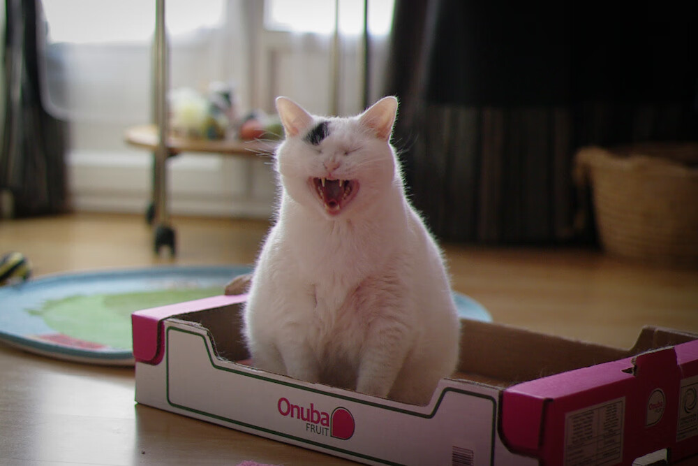 国民队冲击联赛前三,国民队冲击联赛前三名是谁