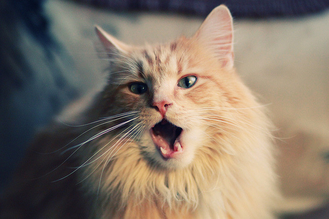 巴黎圣日耳曼客场逆袭,晋级下一轮,巴黎圣日耳曼比赛集锦