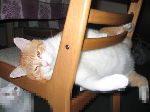 拜仁慕尼黑主场1-1战平门兴格拉德巴赫,错失三分,拜仁慕尼黑2022