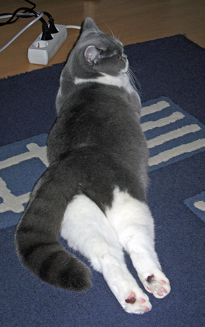 曼城客场不敌尤文图斯,憾失半决赛资格!,曼城对尤文