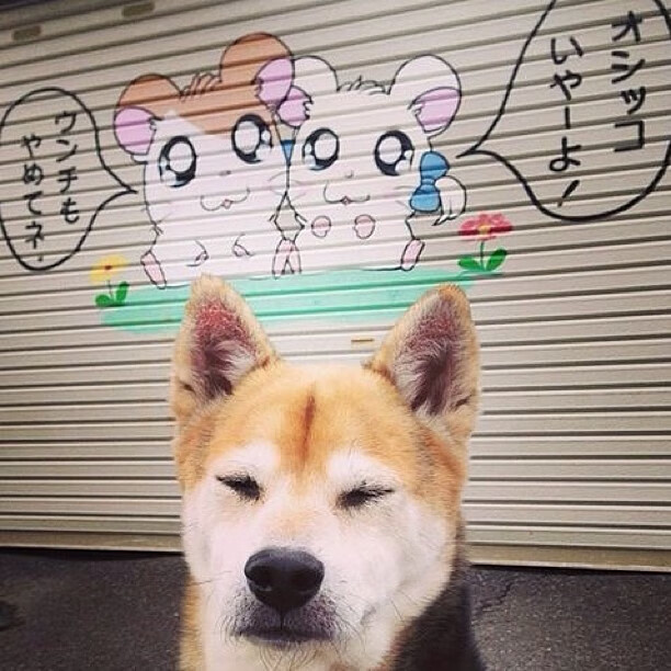 世界青少年跳绳锦标赛再添多项纪录,青少年跳绳大赛