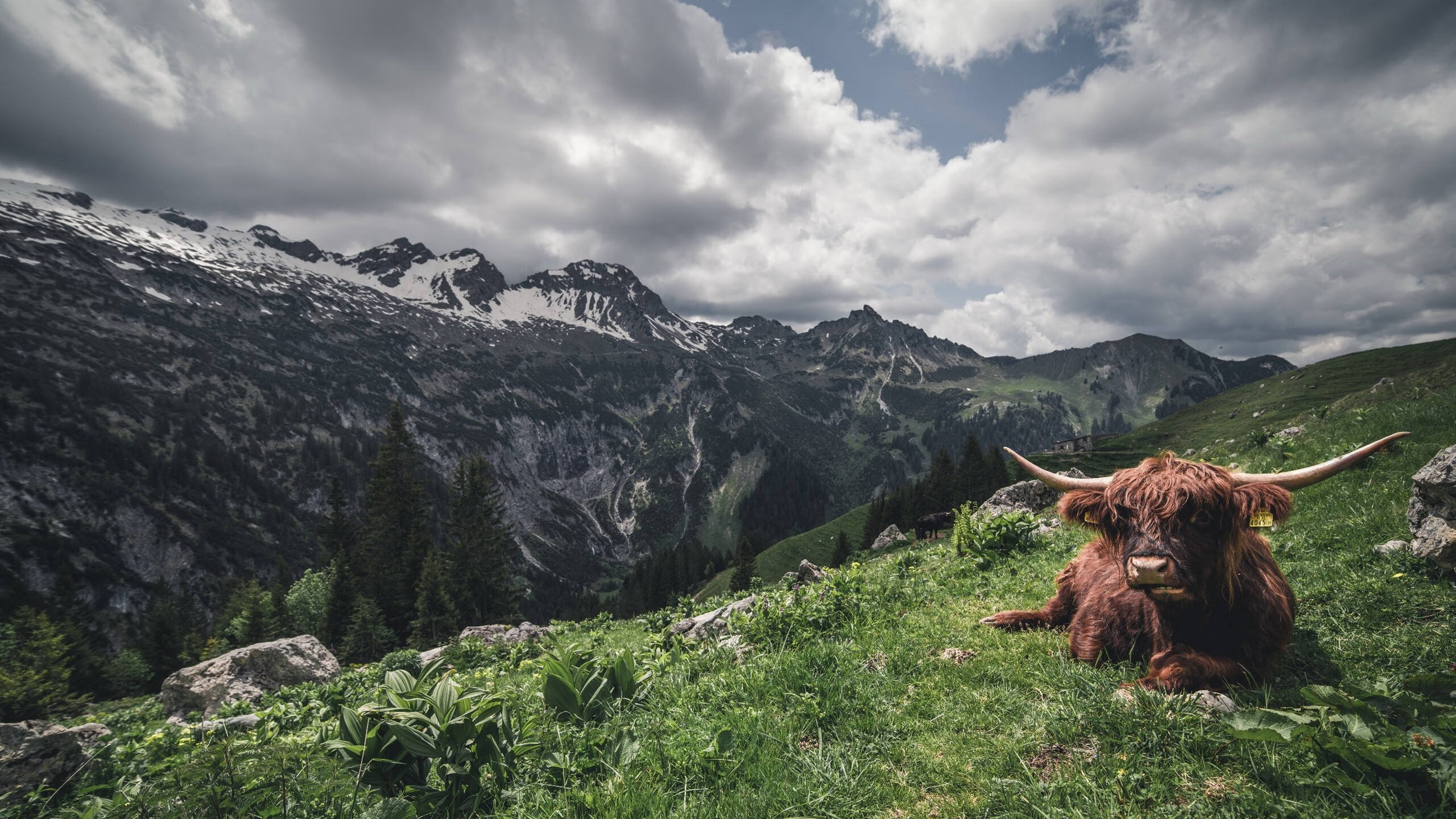 体育场馆节能管理创新技术,体育场馆节能管理创新技术方案