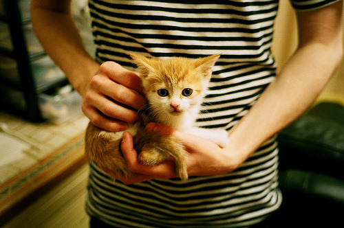 全国青少年足球迷你赛在西安热情开战,未来星起航,2020西安市青少年校园足球联赛