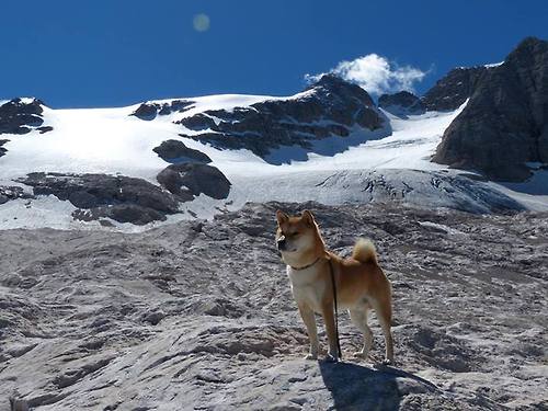 篮球专项技能动作标准化训练与教学方法创新,篮球动作技能理论知识