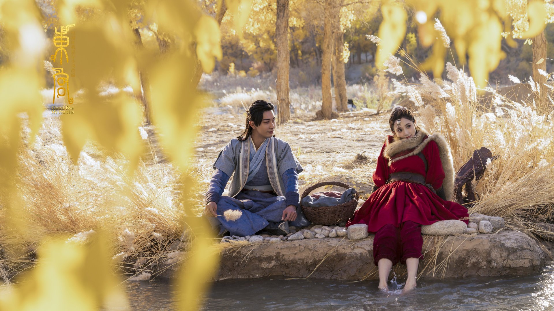 球迷文化节:全球足球狂欢的盛会,球迷聚集