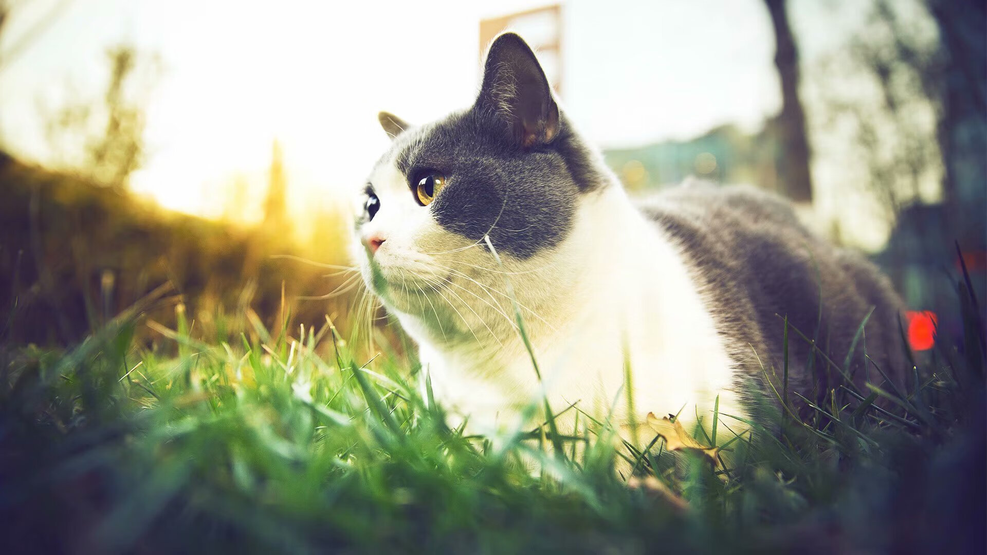 kaiyun-运动装备生产工艺改进，运动装备的作用