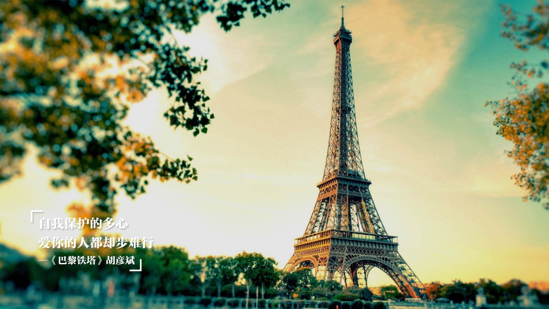 青少年体育兴趣培养及社会支持,青少年体育培训的政策环境