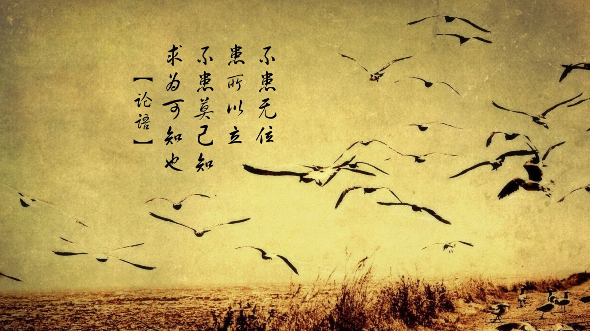 青少年篮球运动员伤病防护与康复管理,篮球运动员运动损伤的类型