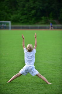 kaiyun sports app-高校体育专业课程体系动态调整研究，全国普通高校体育教育专业课程方案