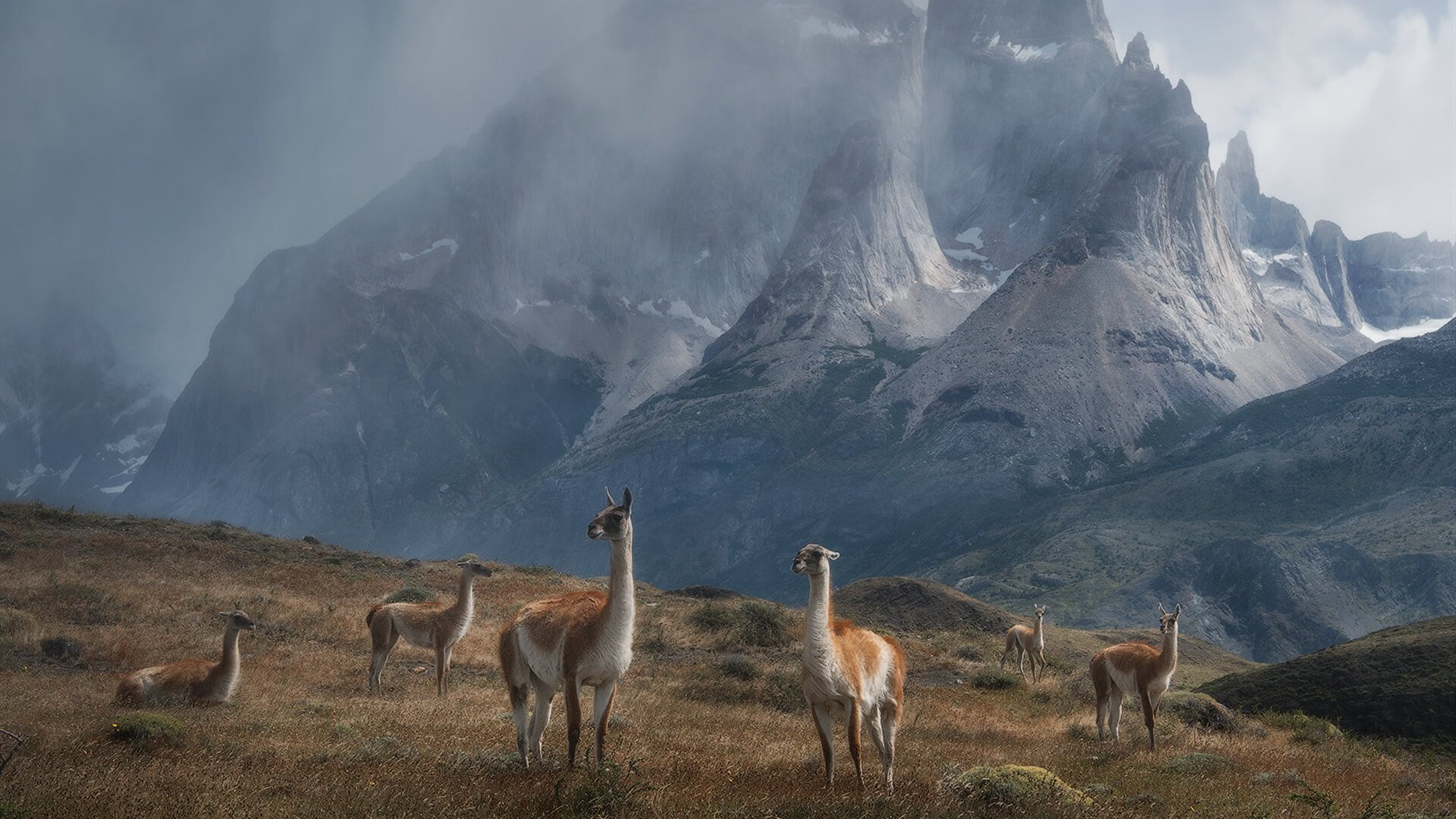 中国男篮强化篮板争夺积极二次进攻,中国男篮规划