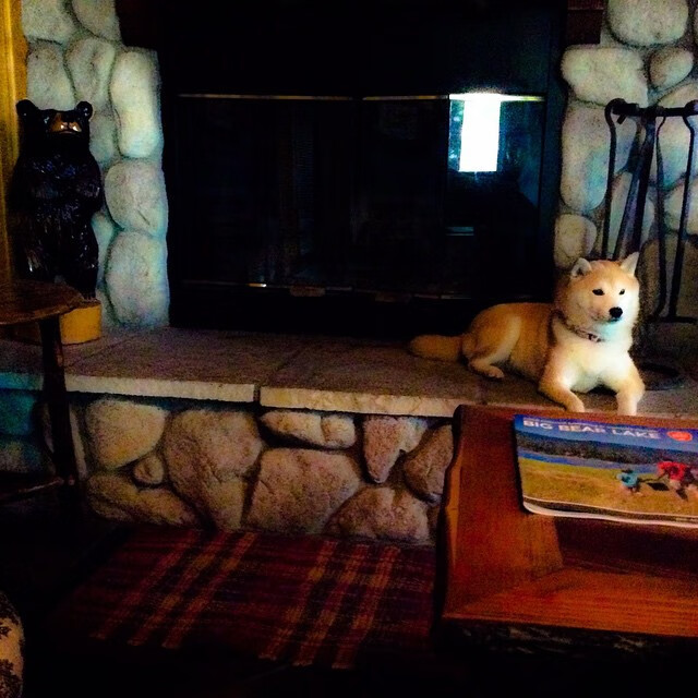 中超新赛季开幕 异军突起成最大看点,中超新赛季各队名单