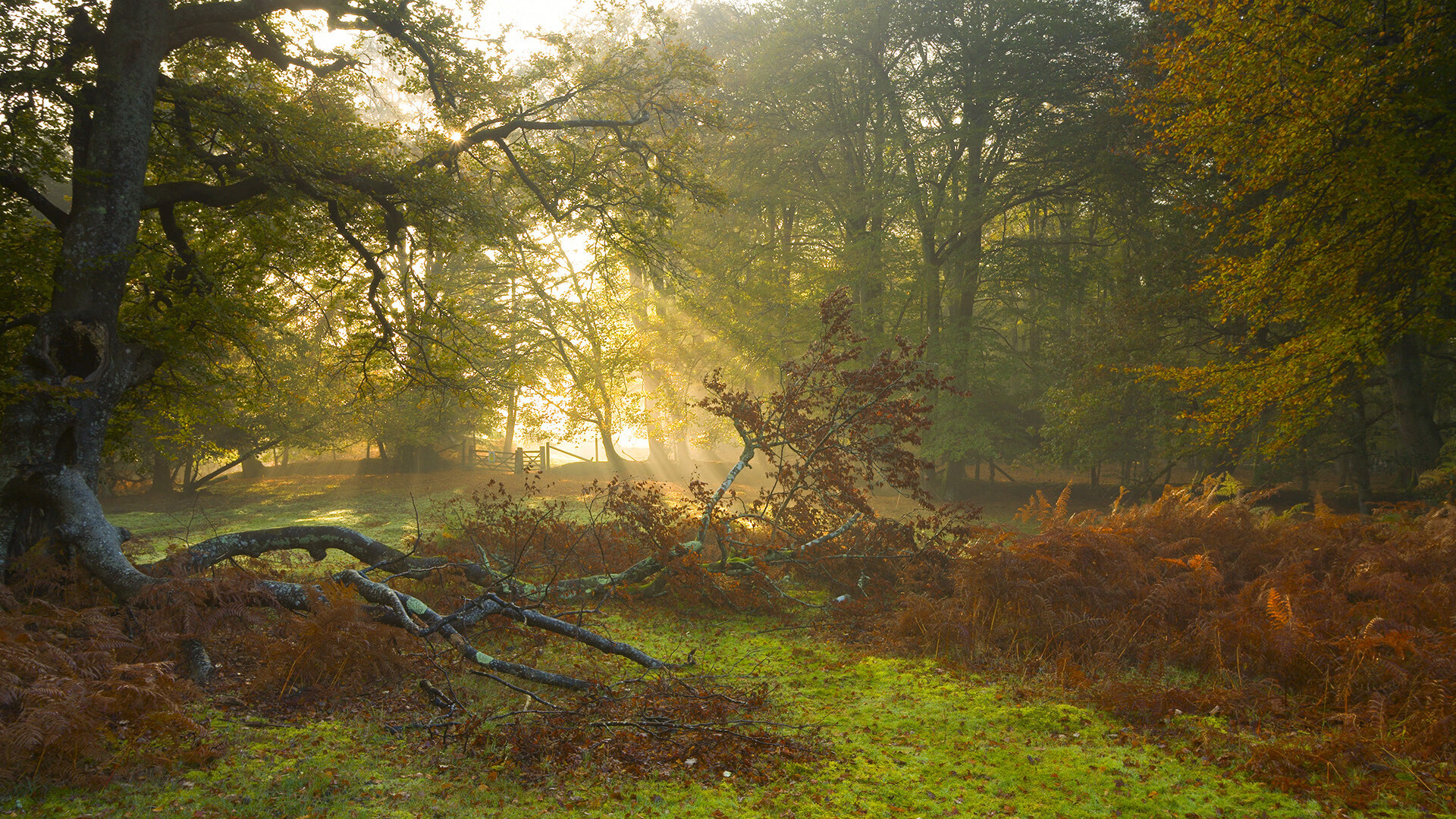 开云体育下载APP-体育新闻中心主办体育文化数字传播创新成果展，体育数字化改革方案